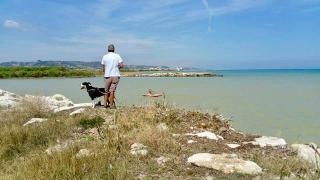 "Festa del Fiume": domenica 18 maggio alla scoperta del Tronto e della natura
