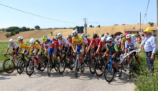 La ciclistica giovanile illumina Chiarino di Recanati: successi per Coletta, Conti e Fiorini